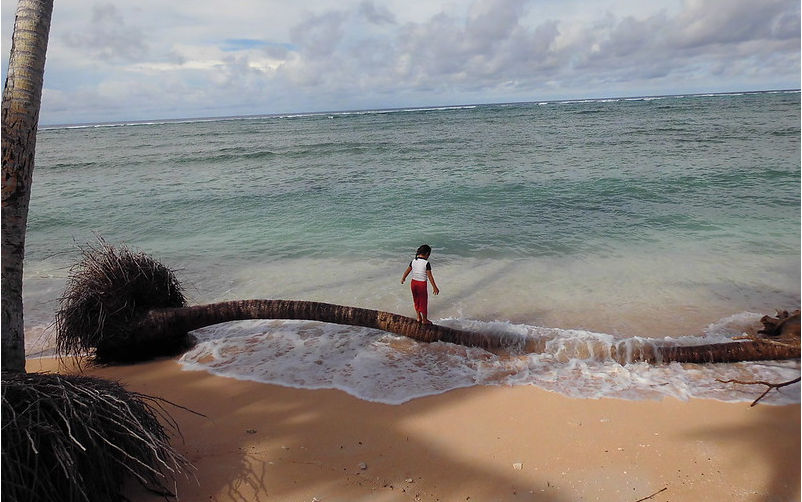 Expanding refugee protection for a changing climate