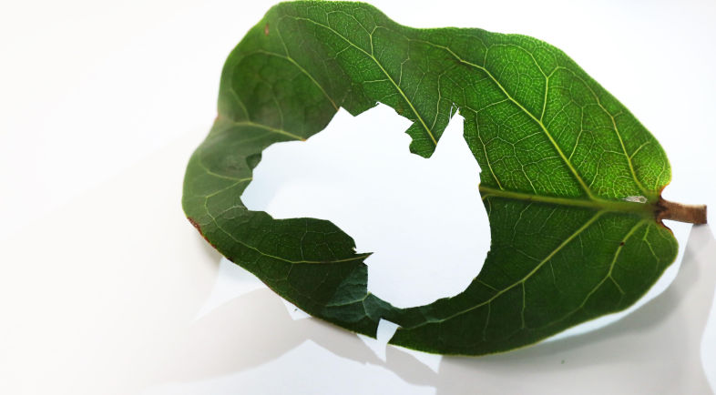 Environment: Australian Governments sacrifice the environment for dollars and votes