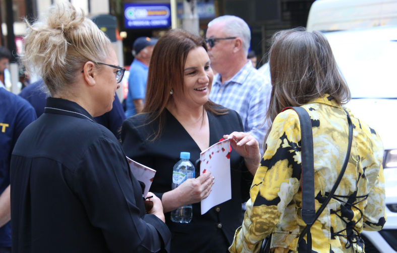 Public servants' pay: Lambie's on the money