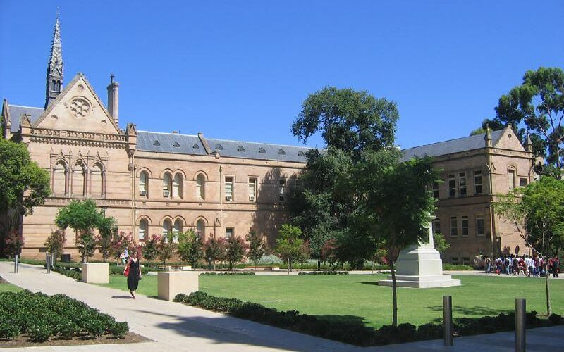 Can Australian universities come back from the dead?