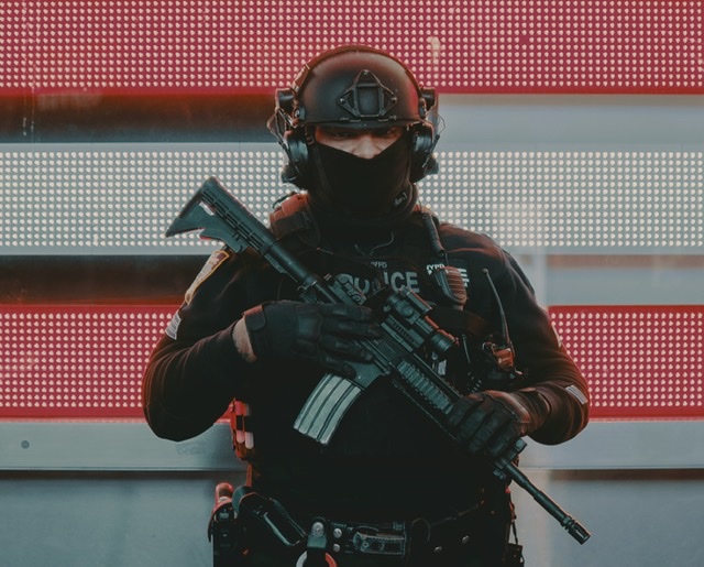 The role of the ADF and its core business model