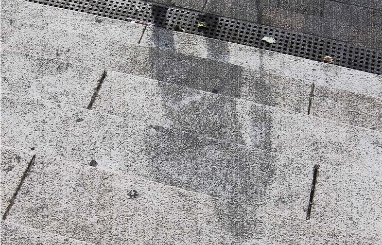 Team genocide walks out on Nagasaki commemorations