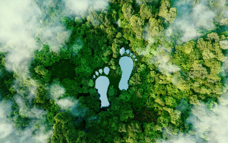 Environment: Rich countries export their social and environmental problems