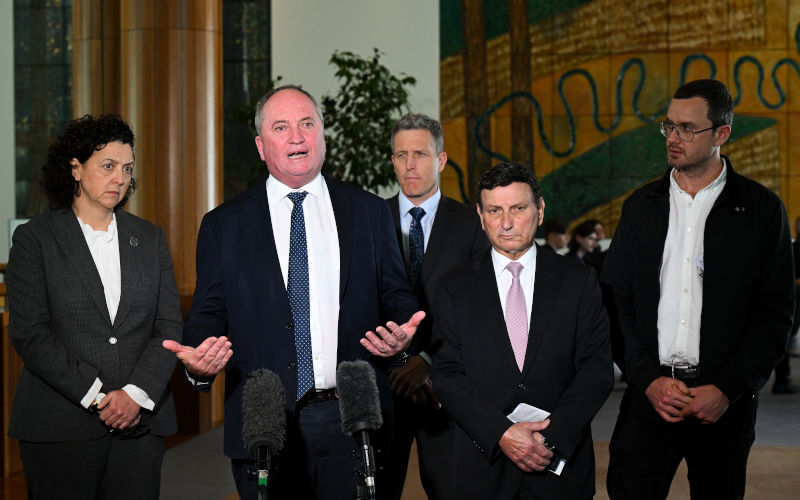 Mission to free Assange: Australian Parliamentarians in Washington