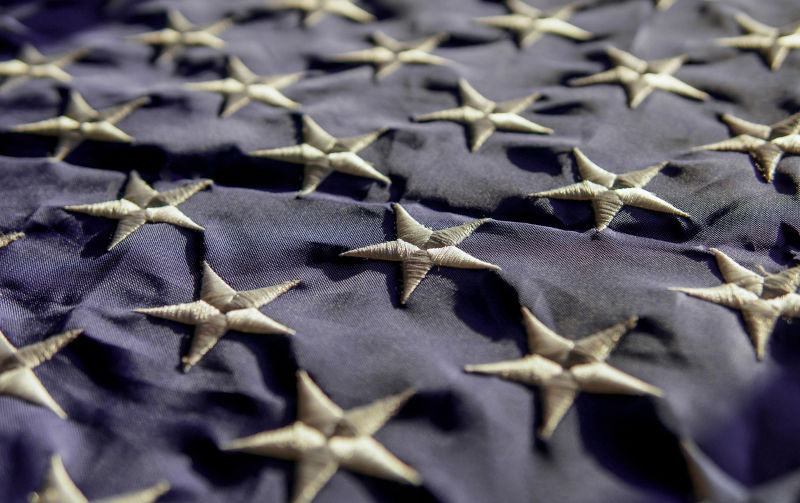 Preparing for America's Gleichschaltung