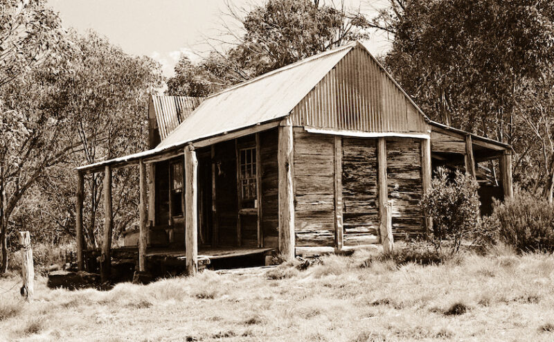 Surely Albanese isn’t crazy enough to call a double-dissolution: Weekly Roundup