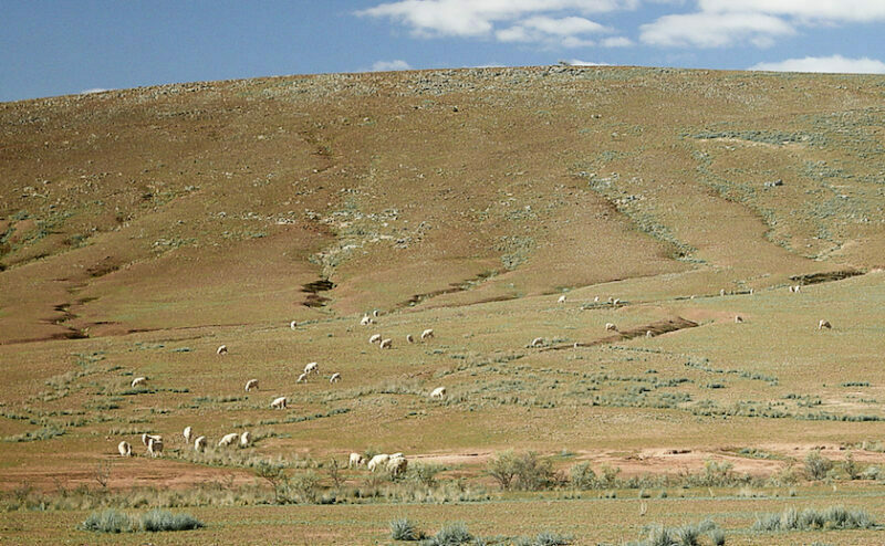 Ken Henry on our intergenerational obligations - Weekly Roundup