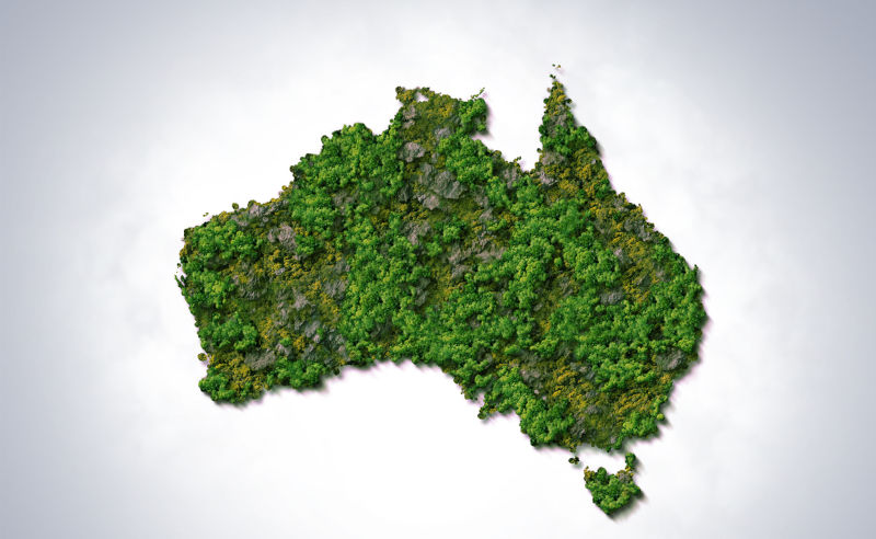 The origin of Labor versus Green tensions