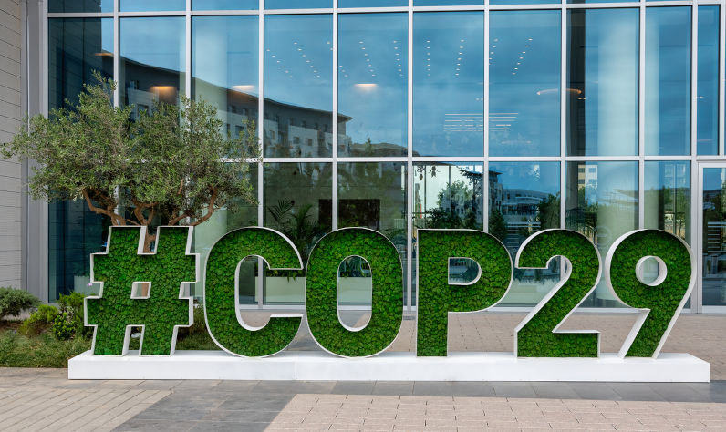 COP 29: grossly inadequate funding signals a deepening East–West divide