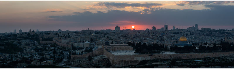 How do they sleep at night?