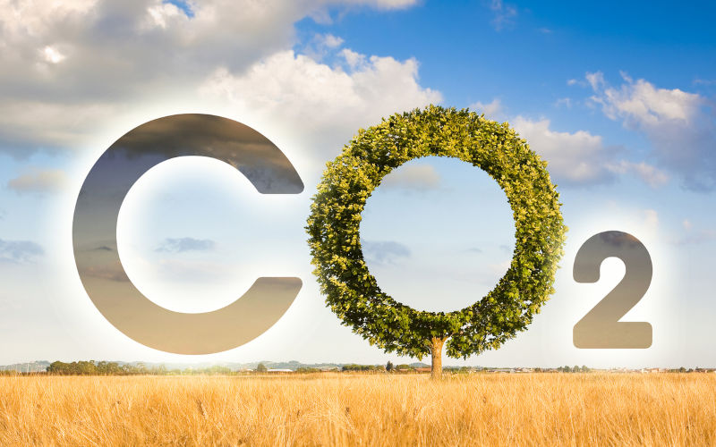 It's time to measure what matters: actual emissions