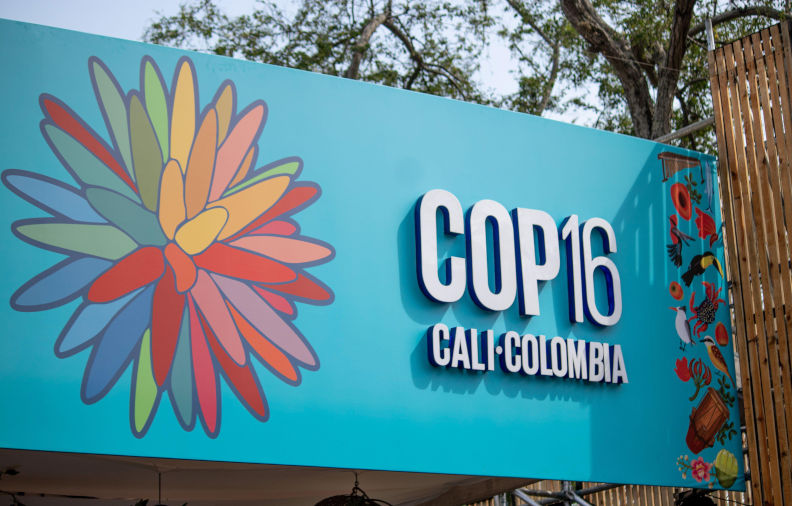 Treasurer Chalmers should have attended the biodiversity COP16