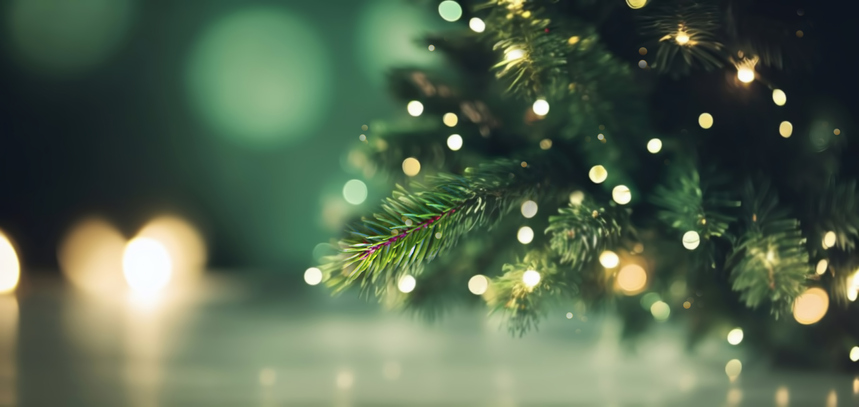 Peace on Earth this Christmas