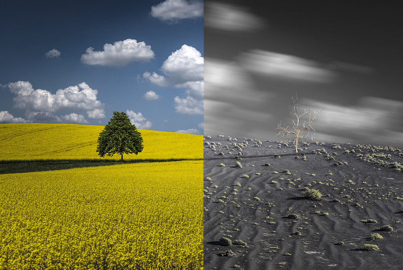 Keith Mitchelson - Reconceiving self-interest to reverse global warming