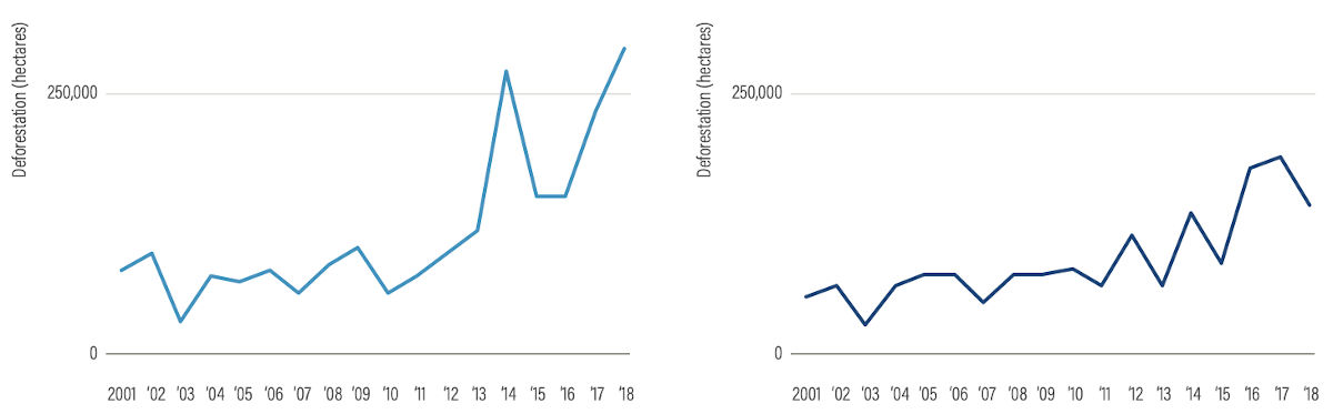 Cocoa and coffee deforest 2001-15