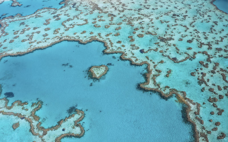 UNESCO calls on Australia to commit to 1.5°C limit to protect the Great Barrier Reef