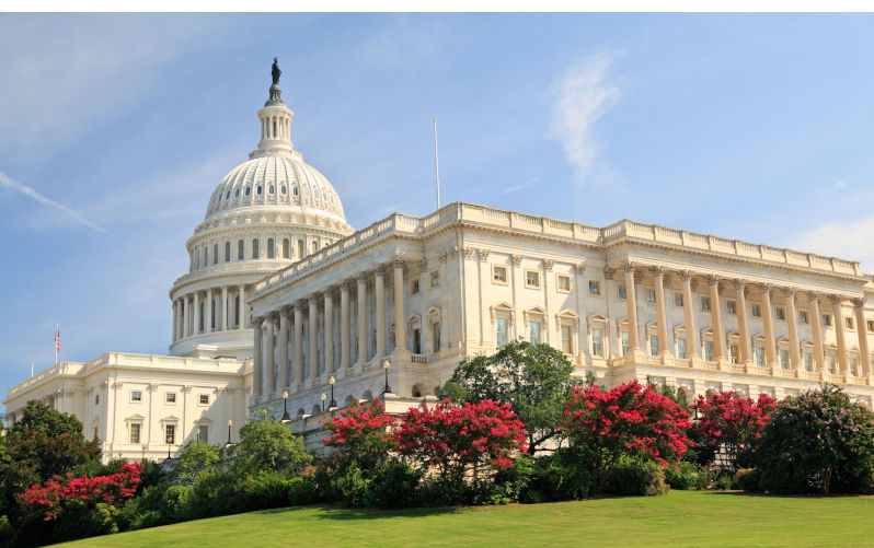 Caligula's horse and Washington