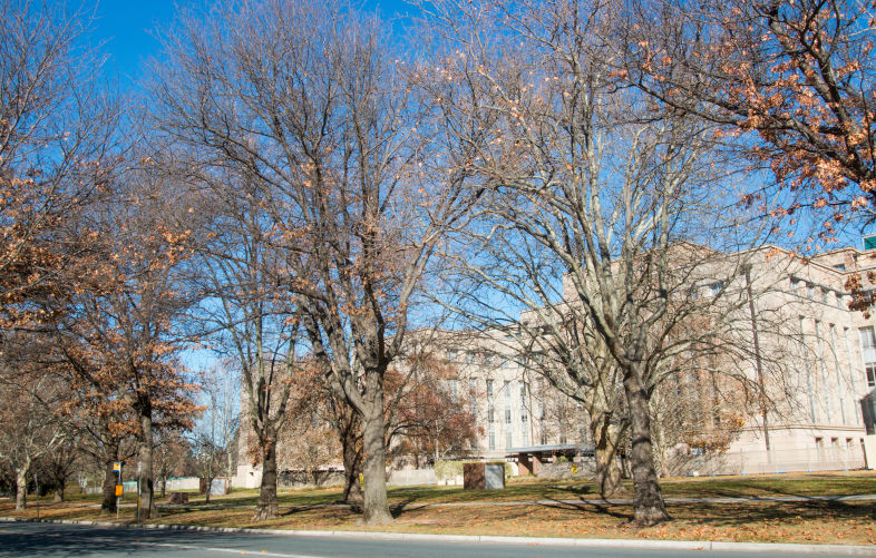 Revealed: Secret plans to introduce media censorship in Australia