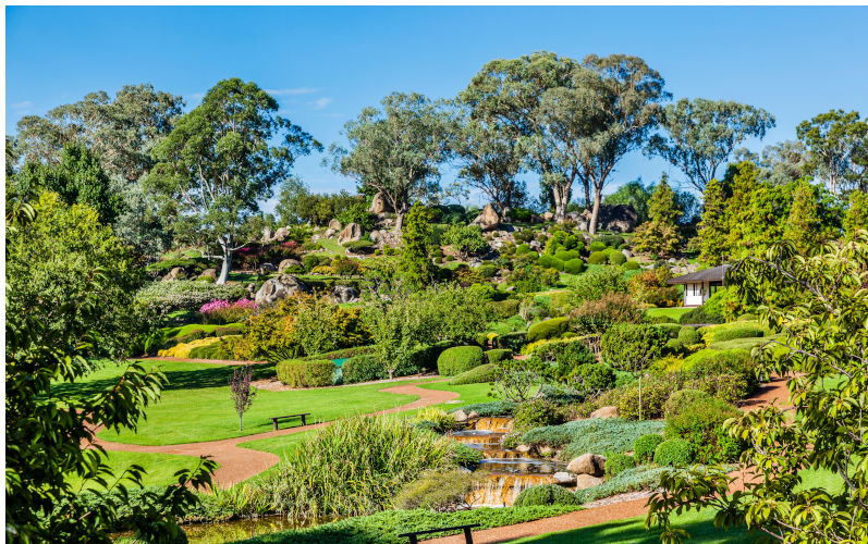 From enmity to amity: Lessons from Cowra