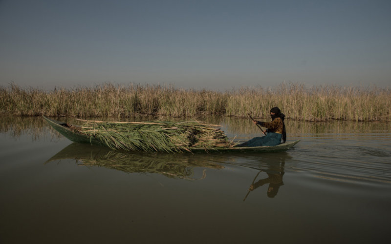 Sunday environmental round up.