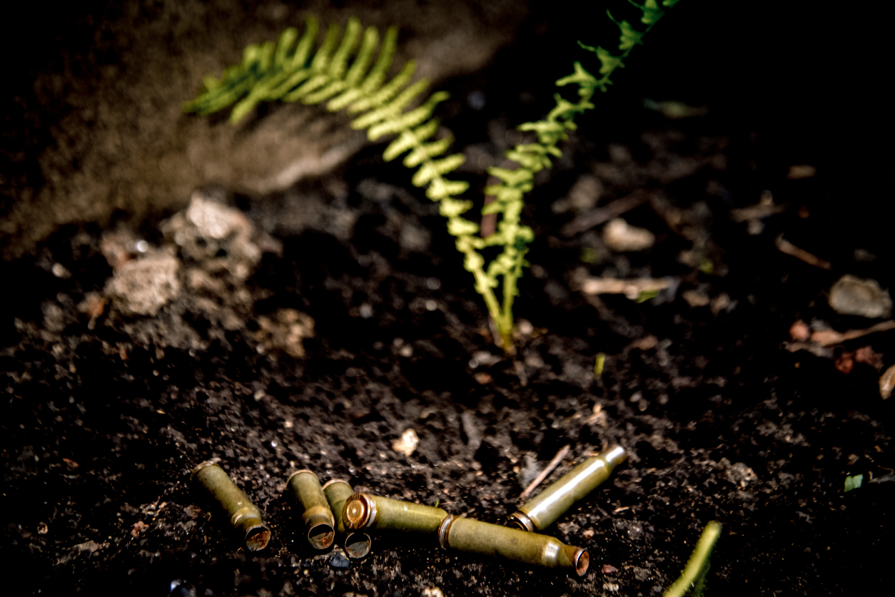 Making sense of life and death at a time of genocide and climate emergency