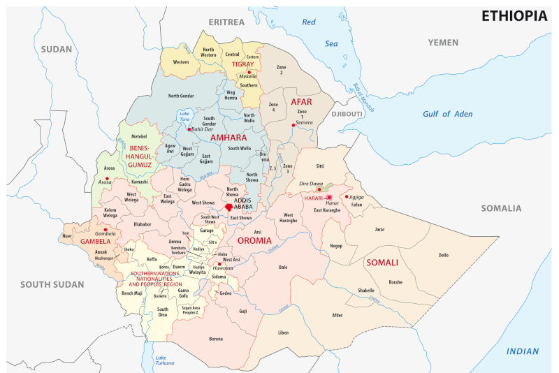 Ethiopian, Eritrean atrocities in Tigray: who cares, it’s an African war