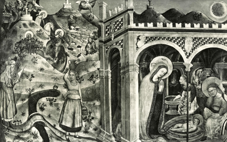 A Christmas message to the Catholic Diocesan Bishops of the local churches in Australia