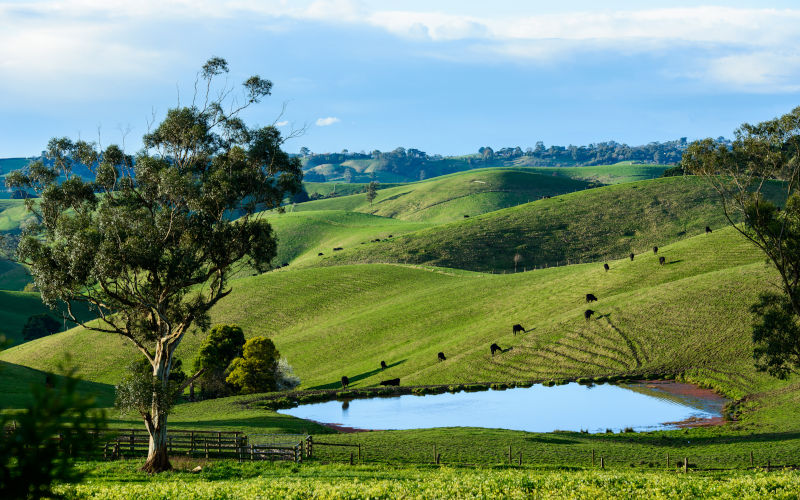 A rare win-win for climate, farming and biodiversity – if policymakers act