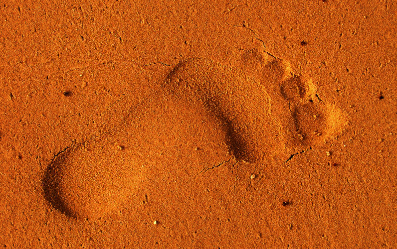 Grotesque Dutton drums up another pedophilia crisis