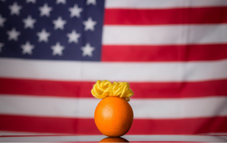 When life gives you oranges...