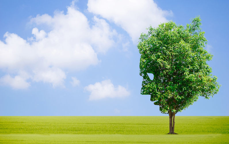 The age of eco-anxiety