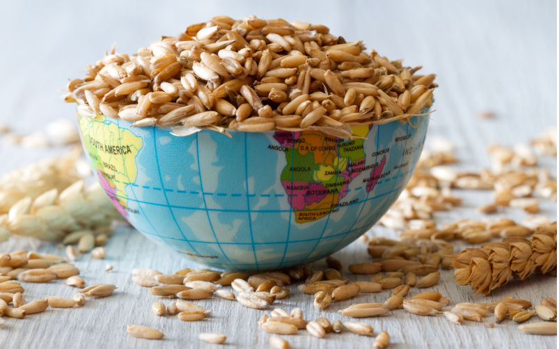 Australian wheat and the BRI: The economic geography of the world's grain trading