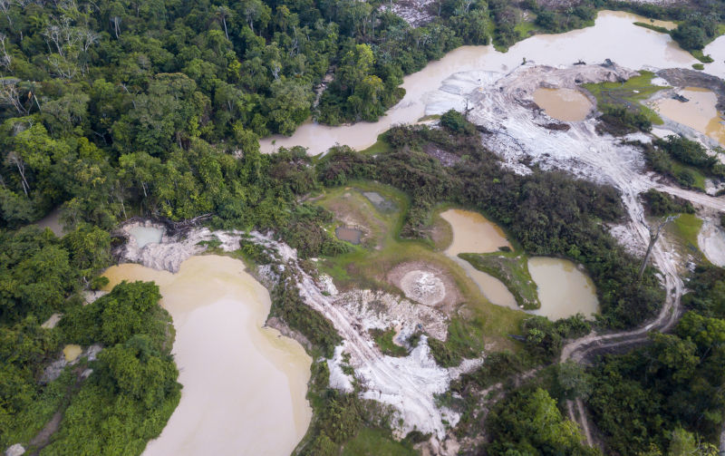 Environment: Humans are the wisest mammals, but which have the most biomass?