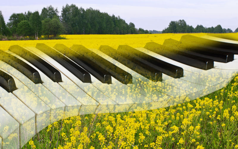 Country town showcases world-standard young pianists