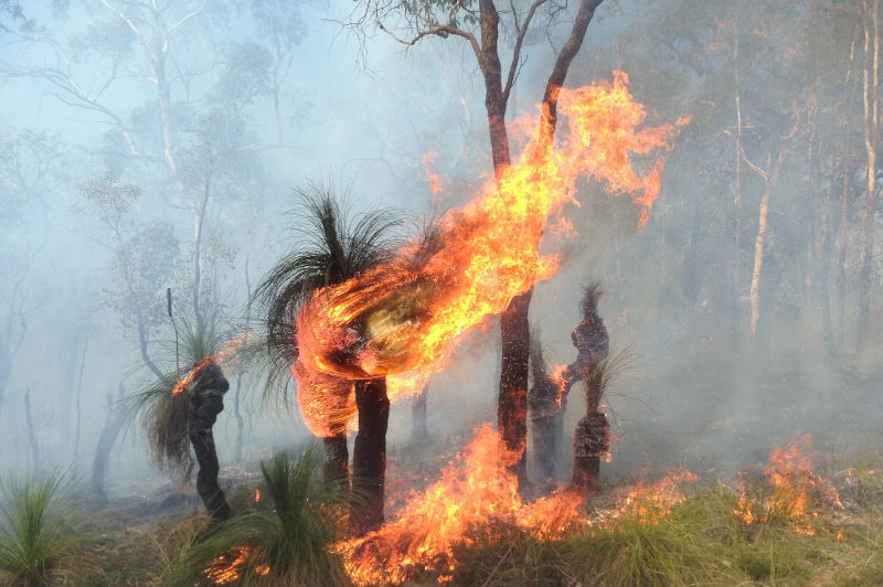 Environment: Prescribed burning makes bushfires worse