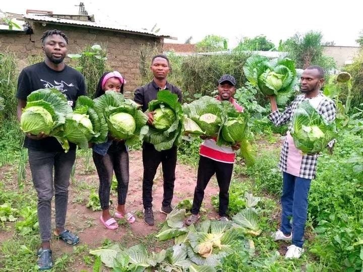 Growing food Image: John Peters /Supplied