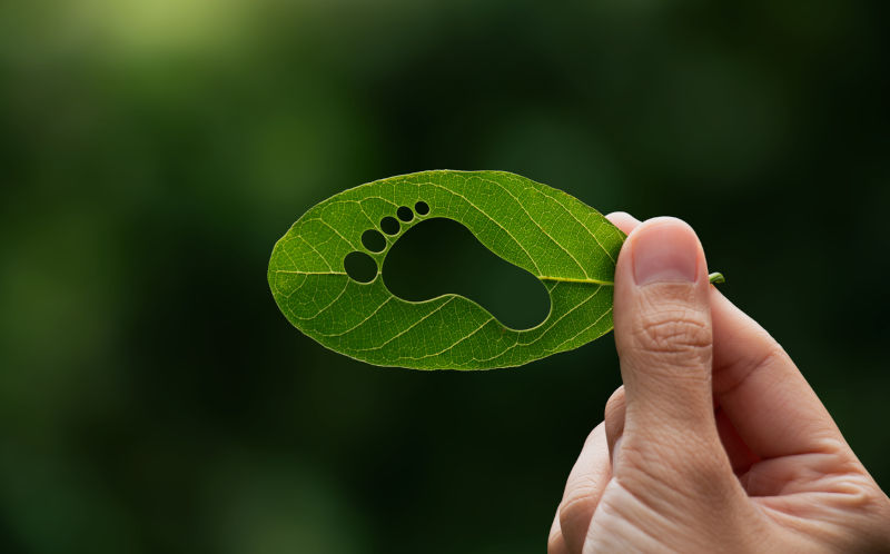 The US and Australia: drill baby drill/drill mate drill