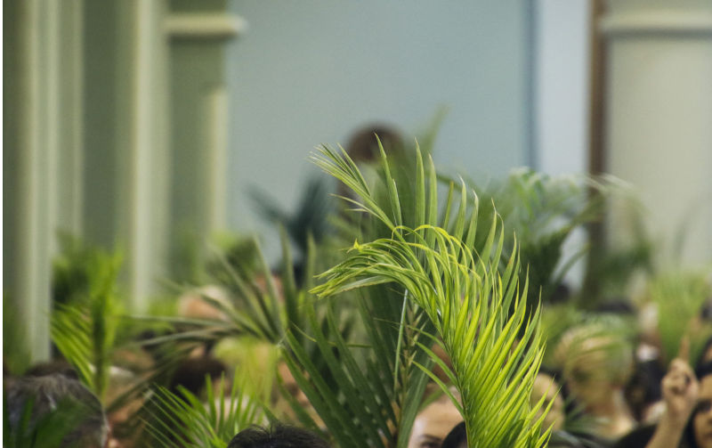 Imitation accelerates