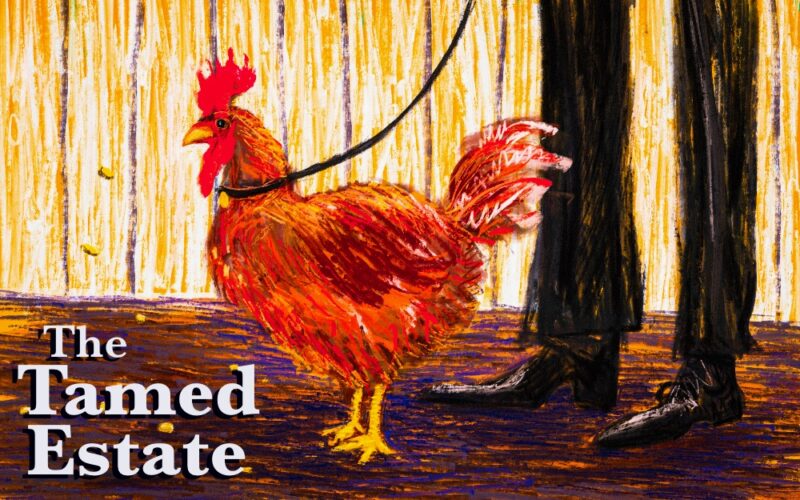 Tamed Estate: Cosy circle receiving Coalition's 'drops' widens to include Rupert's tabloids