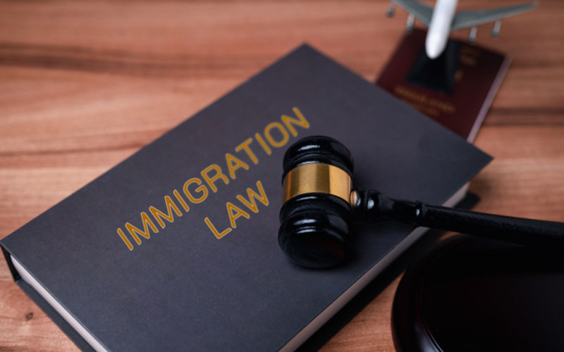 The urgent call to halt the Migration Amendment Bill 2024