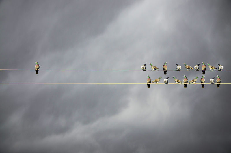 Terra solitarius – the true cost of young peoples’ loneliness