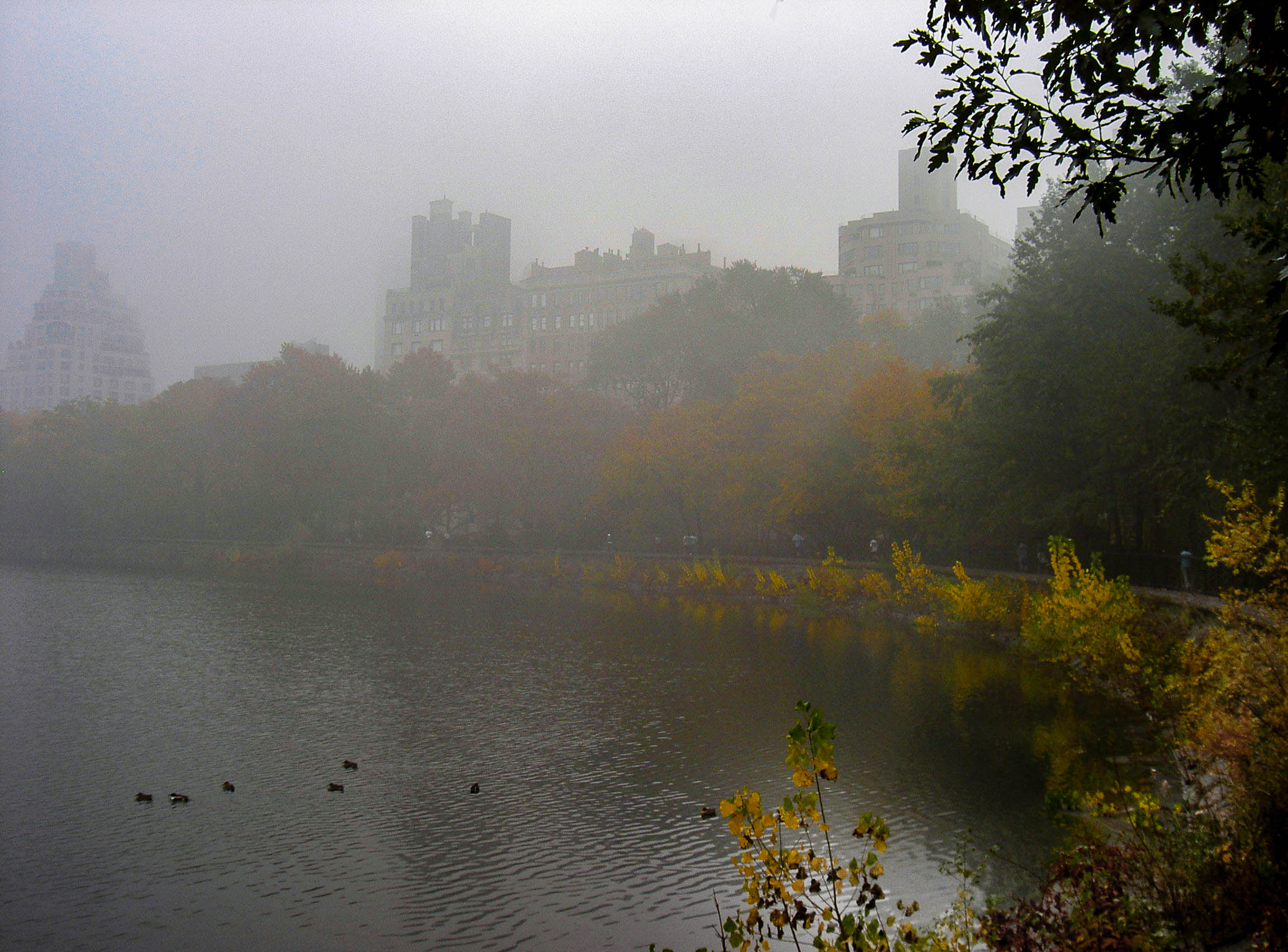 Saturday’s good reading and listening for the weekend