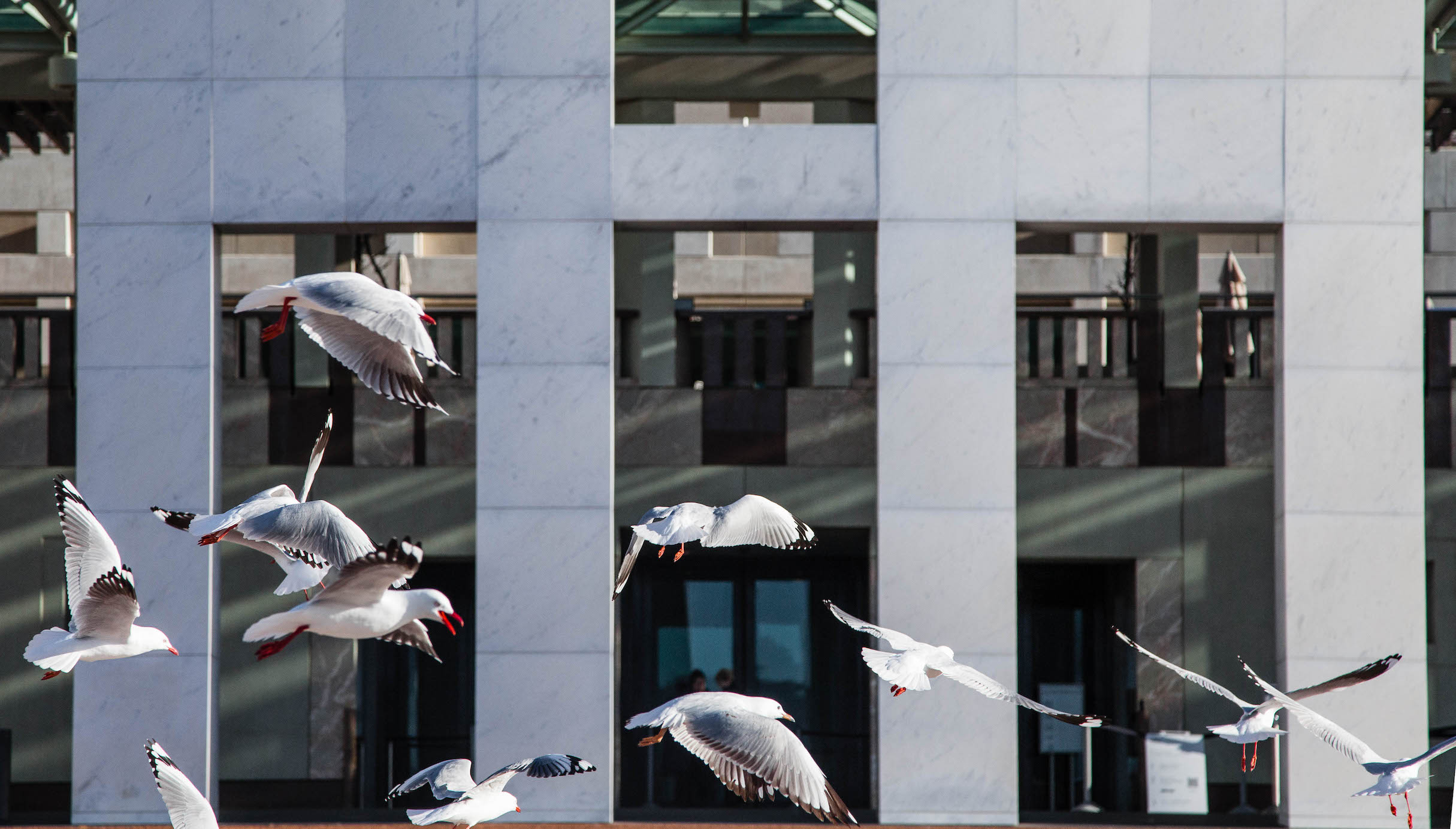 Saturday’s good reading and listening for the weekend