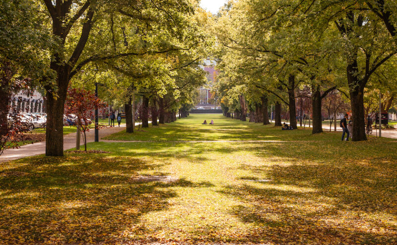 The Reserve Bank still hasn’t damaged the economy enough: Weekly Roundup