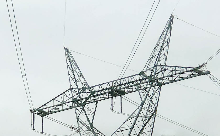 Weekly roundup Saturday 11 June