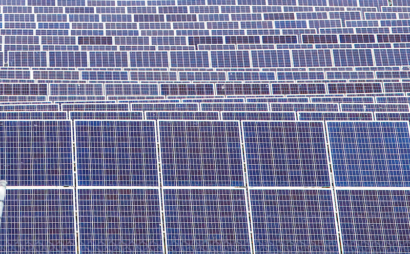 Dutton re-ignites climate war and weaponises immigration policy - Weekly Roundup