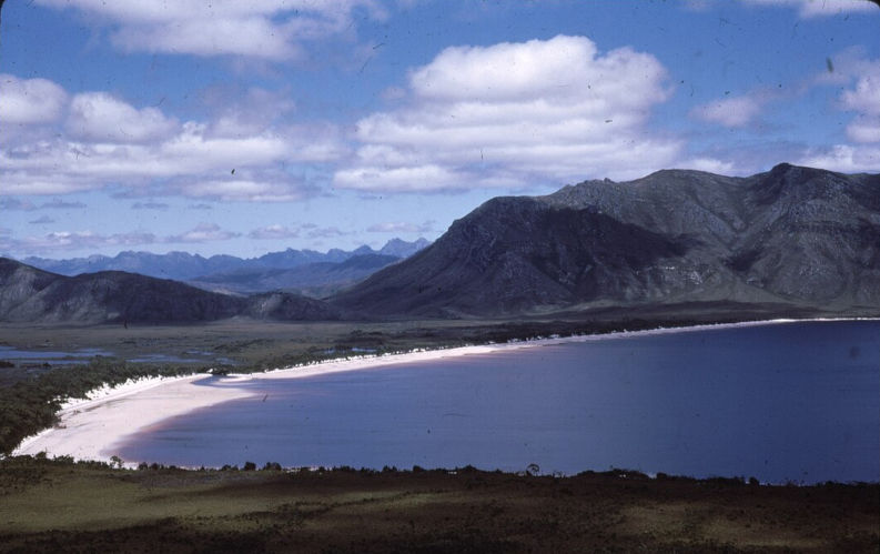 Population and Pedder: the United Tasmania Group