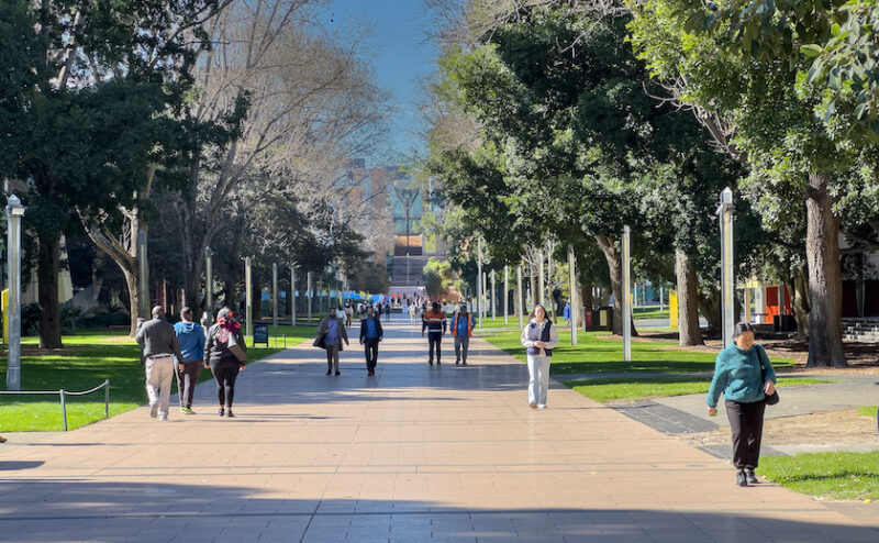 The bucolic stupidity of nuclear energy - Weekly Roundup