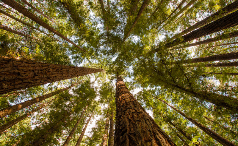 Don’t cut spending, raise taxes: Weekly roundup