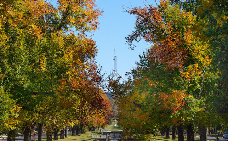 Reserve Bank: economic malice or misreading of inflation? Weekly Roundup